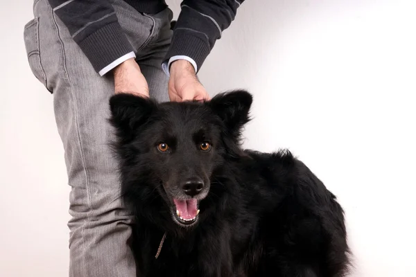 Homem e cão — Fotografia de Stock