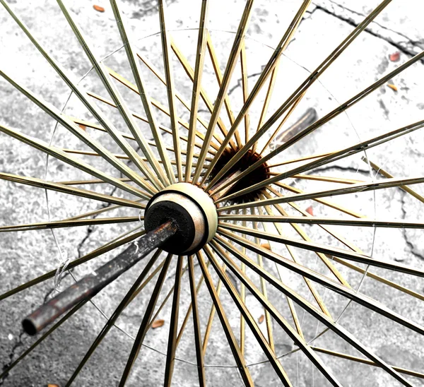 Kağıt şemsiye — Stok fotoğraf