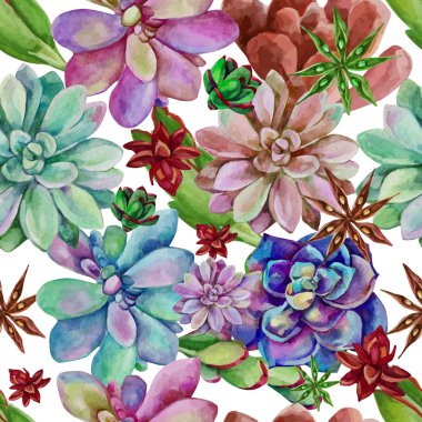 succulents suluboya seamless modeli