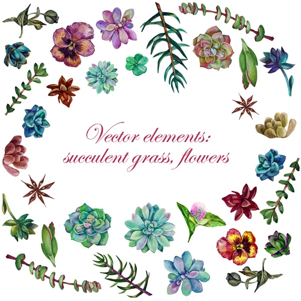 Elementos aquarela: grama, flores, folhas — Vetor de Stock