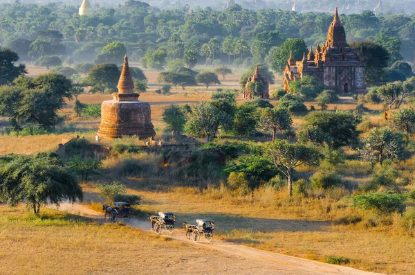 Carruagens de hora em hora na planície de Bagan — Fotografia de Stock