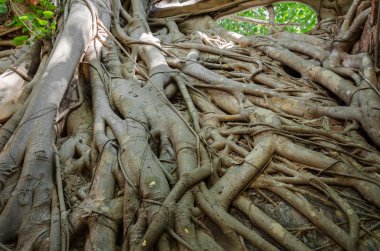 WAT Kratai seslendirdi 400 yıl eski tapınağıdır. 