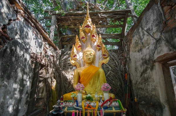 Wat sang kratai ist 400 Jahre alter Tempel. — Stockfoto