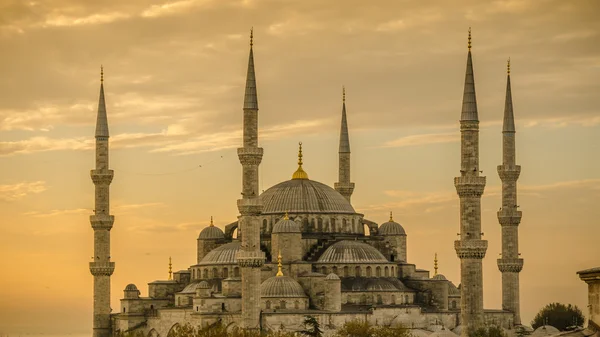 Blue Mosque in glorius sunset, Istanbul, Sultanahmet park . — стоковое фото