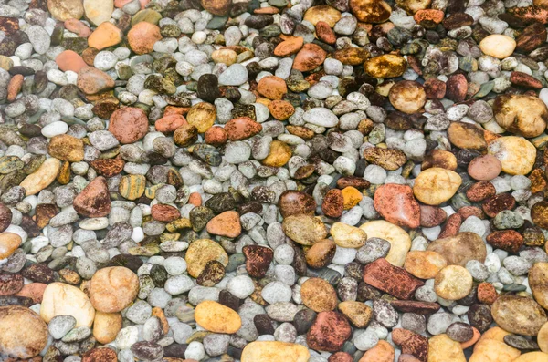 Colorful round stones under still transparent water.