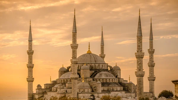 Blue mosque in glorius sunset, Istanbul, Sultanahmet park. Stock Picture