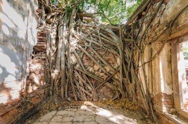 Wat Kratai seslendirdi 400 yıl eski tapınağıdır. Tayland.
