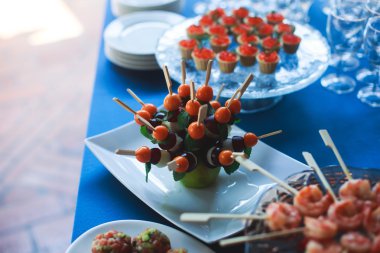 Güzel dekore edilmiş yemek sofrası. Farklı atıştırmalıklar ve aperatiflerle.