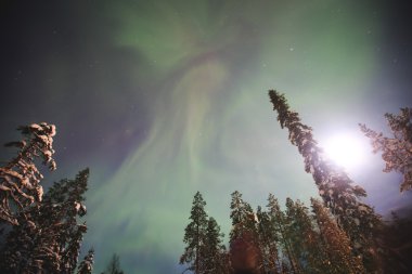 Büyük renkli yeşil canlı Aurora Borealis güzel resmi