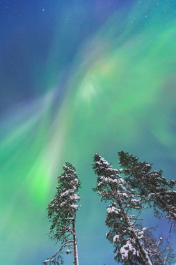 Büyük renkli yeşil canlı Aurora Borealis güzel resmi