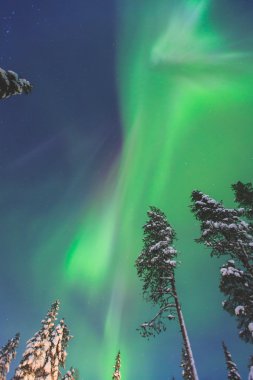 Büyük renkli yeşil canlı Aurora Borealis güzel resmi