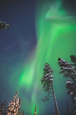 Büyük renkli yeşil canlı Aurora Borealis güzel resmi