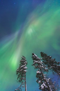 Büyük renkli yeşil canlı Aurora Borealis güzel resmi