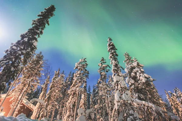 รูปภาพที่สวยงามของขนาดใหญ่หลายสีเขียวสดใส Aurora Borealis — ภาพถ่ายสต็อก