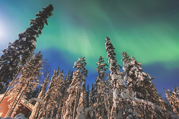 Szép képet a hatalmas többszínű zöld élénk Aurora Borealis — Stock Fotó