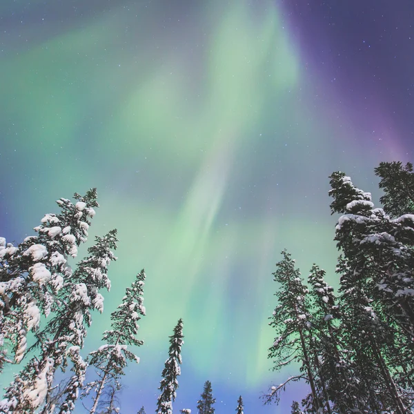 Mooie foto van massale veelkleurige groene levendige Aurora — Stockfoto