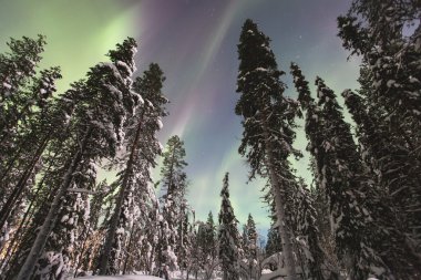 Büyük renkli yeşil canlı Aurora ile güzel resim 