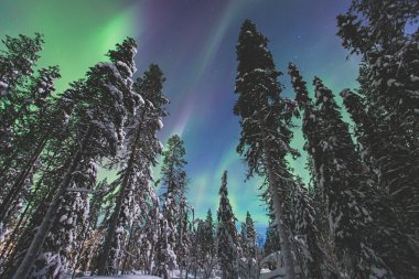 Büyük renkli yeşil canlı Aurora ile güzel resim 