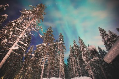 Büyük renkli yeşil canlı Aurora ile güzel resim 