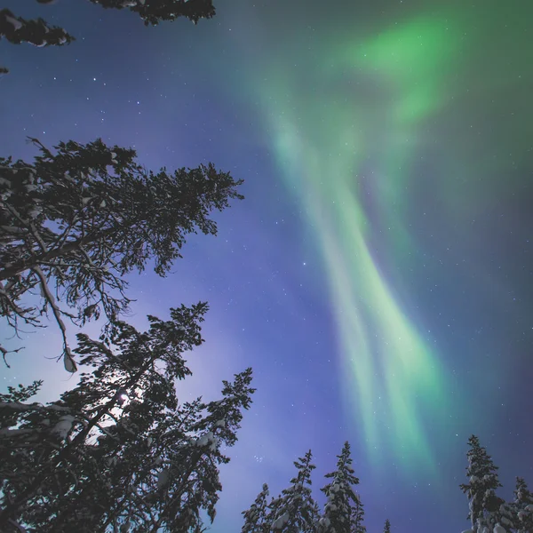 Piękny obraz ogromnej wielokolorowe zielony żywy Aurora — Zdjęcie stockowe