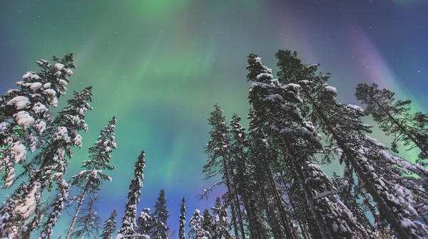 Krásný obraz obrovské pestrobarevné zelené pulzující Aurora — Stock fotografie