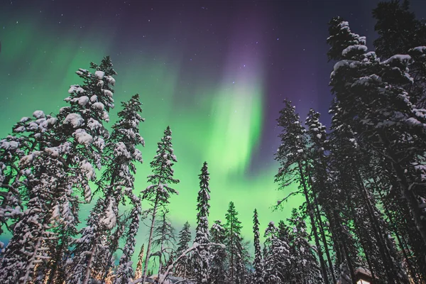 Beautiful picture of massive multicoloured green vibrant Aurora — Stock Photo, Image