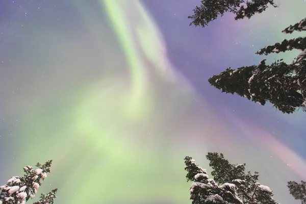 Όμορφη εικόνα της μαζική πολύχρωμες πράσινο ζωντανή Aurora — Φωτογραφία Αρχείου