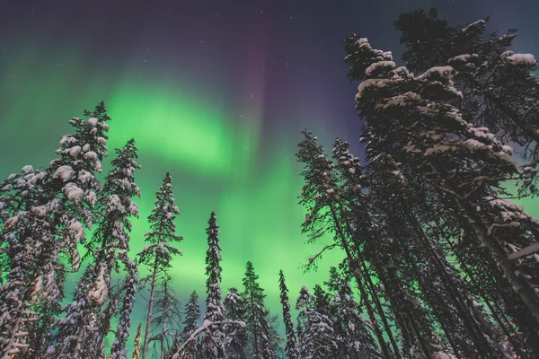 Schönes Bild von massiven bunten grünen, lebendigen Polarlichtern — Stockfoto