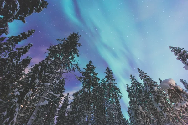 Schönes Bild von massiven bunten grünen, lebendigen Polarlichtern — Stockfoto