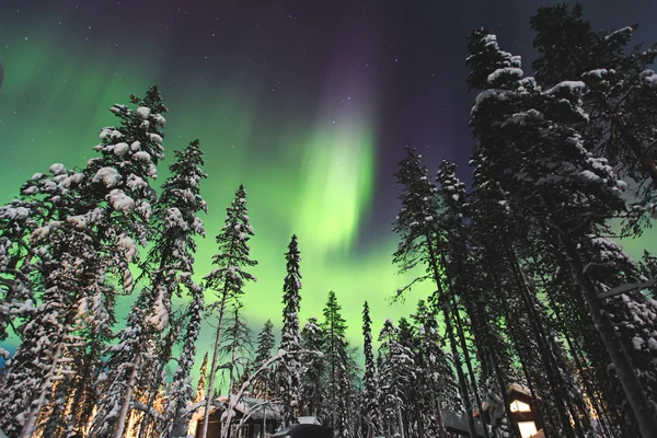 Schönes Bild von massiven bunten grünen, lebendigen Polarlichtern — Stockfoto