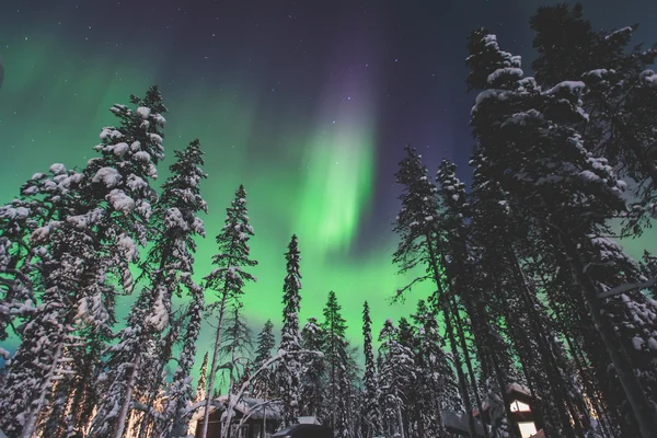 Schönes Bild von massiven bunten grünen, lebendigen Polarlichtern — Stockfoto