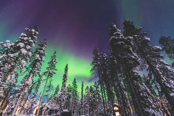 Beautiful picture of massive multicoloured green vibrant Aurora