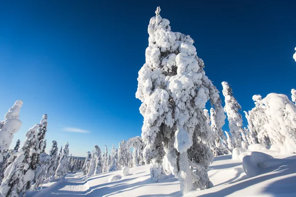 Hermosa vista fría de la montaña de la estación de esquí, día de invierno soleado con pendiente, pista y telesilla —  Fotos de Stock