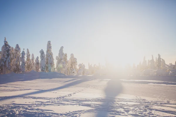 Beautiful cold mountain view of ski resort, sunny winter day with slope, piste and ski lift