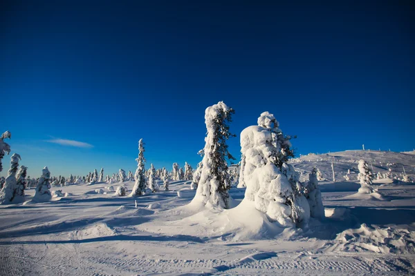 Hermosa vista fría de la montaña de la estación de esquí, día de invierno soleado con pendiente, pista y telesilla — Foto de Stock