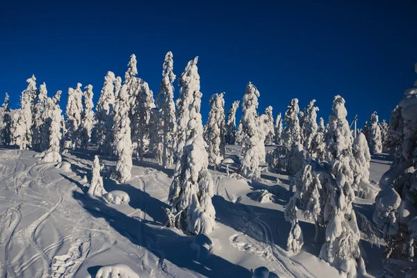 Krásné cold mountain pohled na lyžařské středisko, slunný zimní den s svahu, sjezdovka a lyžařský vlek — Stock fotografie