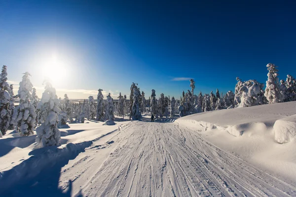 冷山的美景的滑雪胜地，阳光明媚的冬日，与边坡、 滑雪和滑雪缆车 — 图库照片