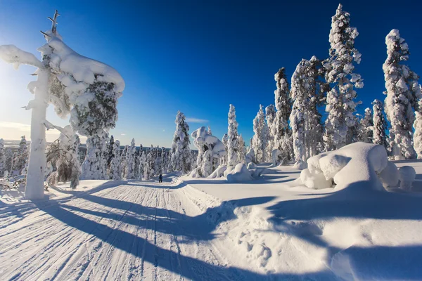 스키 리조트, 스키 리프트와 슬로프, 피스트 맑은 겨울 날의 아름 다운 콜드 마운틴 뷰 — 스톡 사진