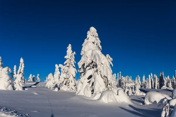 Όμορφη κρύο βουνό χιονοδρομικό κέντρο, ηλιόλουστη χειμωνιάτικη ημέρα με κλίση, πίστες και τελεφερίκ — Φωτογραφία Αρχείου