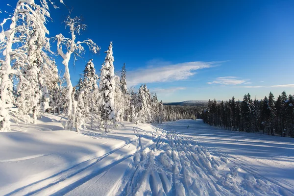 Красивий холодний гірський вид на гірськолижний курорт, сонячний зимовий день зі схилом, трасою і підйомником — стокове фото