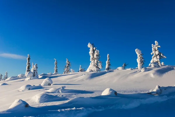 Холодный горный вид горнолыжного курорта, солнечный зимний день со склоном, горкой и подъемником — стоковое фото
