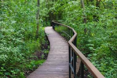 Batı Kotlin 'in canlı yaz manzarası doğa rezervi, kuş izleme kulesi, Kotlin Adası, Kronstadt, Saint-Peterburg, Russi