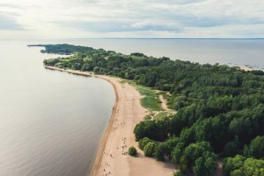 Batı Kotlin 'in canlı yaz manzarası doğa rezervi, kuş izleme kulesi, Kotlin Adası, Kronstadt, Saint-Peterburg, Russi
