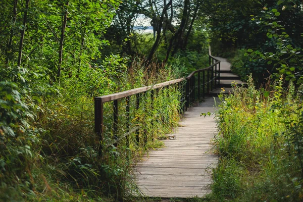 Aerial summer vibrant view of West Kotlin state nature reserve, ecological path trail with bird watching tower, Kotlin island, Kronstadt, Saint-Peterburg, Russi