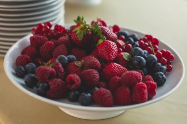 Güzel dekore edilmiş yemek sofrası farklı atıştırmalıklar ve aperatiflerle kurumsal noel partisi ya da düğün kutlaması, alkollü içeceklerle.