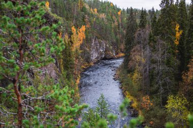 Oulanka Ulusal Parkı 'nın sonbahar manzarası, manzara, Kuzey Ostrobothnia ve Laponya bölgelerinde bir finnish milli parkı, ahşap kır kulübesi, kulübe, köprü, kamp alanı