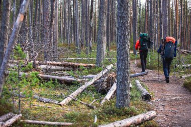 Oulanka Ulusal Parkı 'nın sonbahar manzarası, manzara, Kuzey Ostrobothnia ve Laponya bölgelerinde bir finnish milli parkı, ahşap kır kulübesi, kulübe, köprü, kamp alanı