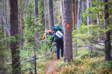 Oulanka Ulusal Parkı 'nın sonbahar manzarası, manzara, Kuzey Ostrobothnia ve Laponya bölgelerinde bir finnish milli parkı, ahşap kır kulübesi, kulübe, köprü, kamp alanı