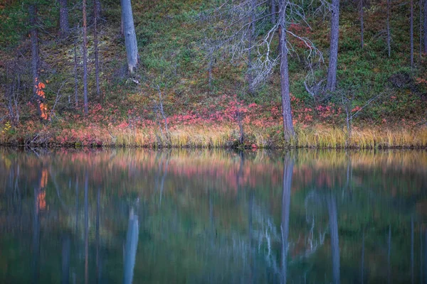 Autunno Vista Del Parco Nazionale Oulanka Paesaggio Parco Nazionale Finlandese — Foto Stock