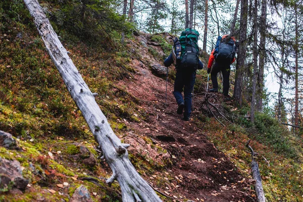 Vue Automne Parc National Oulanka Paysage Parc National Finlandais Dans — Photo